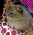 /album/benson/benson-2015-03-10-2-jpg1/